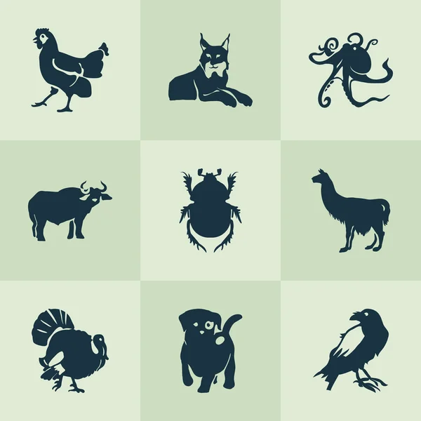 Ícones do zoológico conjunto com corvo, lince, frango e outros elementos do cão. Ícones isolados do zoológico da ilustração . — Fotografia de Stock
