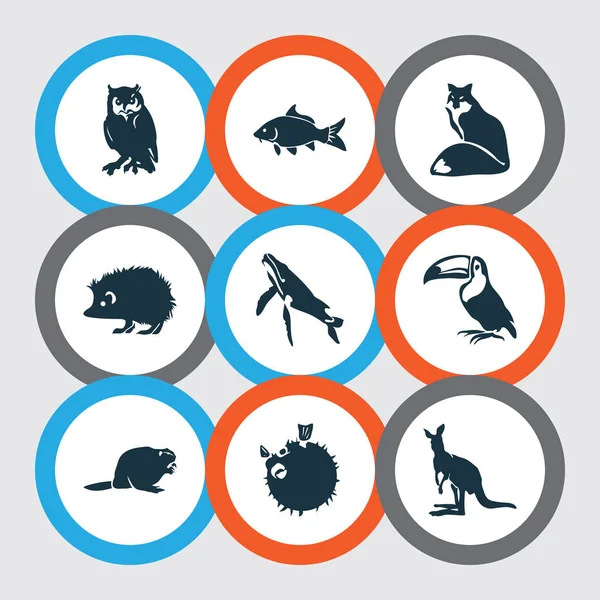 Ícones do zoológico conjunto com canguru, ouriço, peixe-balão e outros elementos de aves tropicais. Ícones isolados do zoológico da ilustração . — Fotografia de Stock