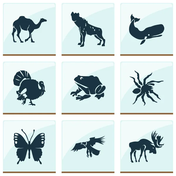 Állatkert ikonok meg pulyka, hiéna, jávorszarvas és más bálna elemek. Elszigetelt vektor illusztráció állatkert ikonok. — Stock Vector