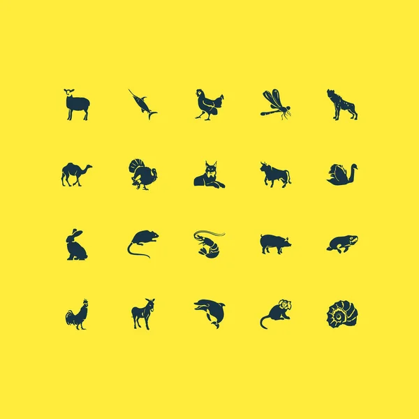 Conjunto de iconos del zoológico con ovejas, conchas, camellos y otros elementos del gato salvaje. Iconos de zoológico de ilustración vectorial aislado . — Archivo Imágenes Vectoriales