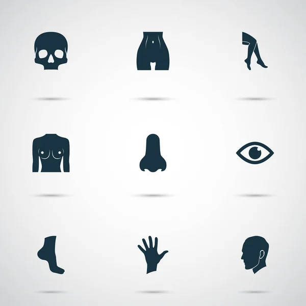 Physique icons set with belly, skull, palm and other human elements. Isolated vector illustration physique icons. — Stock Vector