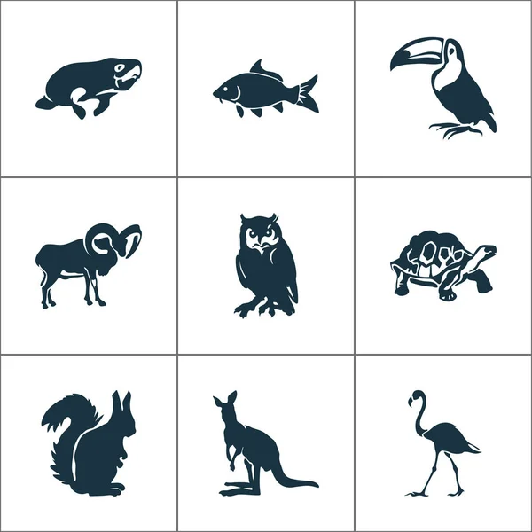 Conjunto de iconos del zoológico con flamenco, tucán, ovis y otros elementos del manatí. Iconos de zoológico de ilustración vectorial aislado . — Archivo Imágenes Vectoriales