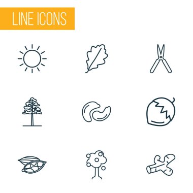 Uyum simgeleri, zencefil, bahçe budayıcısı, çam ağacı ve diğer meşe elementleriyle ayarlanmış. İzole vektör illüstrasyon uyum simgeleri.