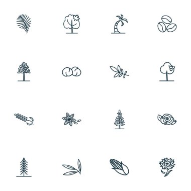 Söğüt yaprağı, yıldız anasonu, kahve çekirdeği ve diğer meşe elementleriyle ekoloji ikonları çizgisi. İzole vektör illüstrasyon ekoloji simgeleri.