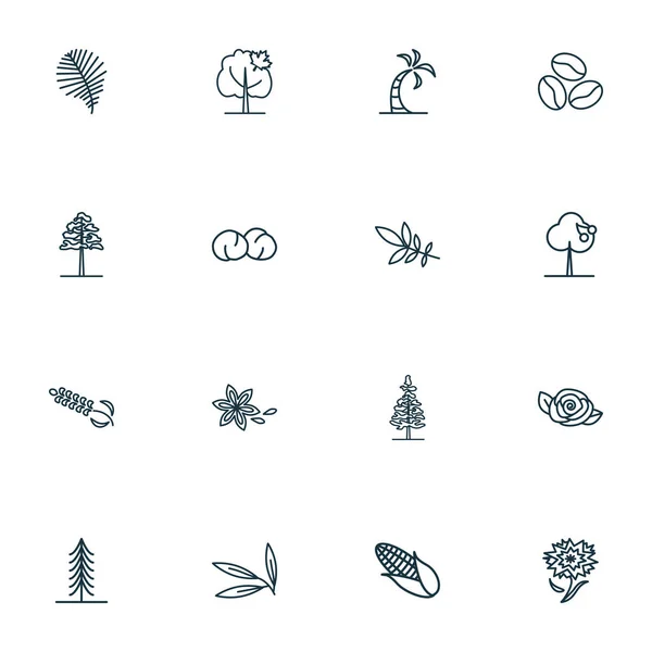 Ekologie ikony linie styl set s vrbovým listem, hvězdný anýz, kávové zrno a další dubové prvky. Ikony ekologie izolovaných vektorových ilustrací. — Stockový vektor