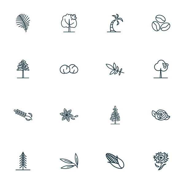 Landscape icons line style set with willow leaf, star anise, coffee bean and other oak elements. Isolated illustration landscape icons.