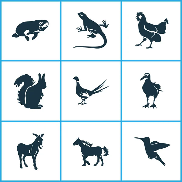 Fauna-Ikonen mit Albatrossen, Pferd, Esel und anderen Möwenelementen. isolierte Vektorabbildung Fauna-Symbole. — Stockvektor