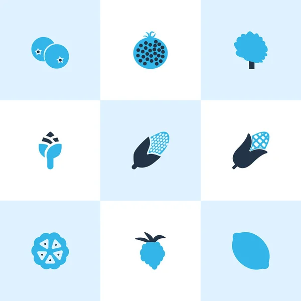 Icone di frutta colorate con agrumi, alberi, lamponi e altri elementi di mais. Isolate icone di frutta illustrazione . — Foto Stock
