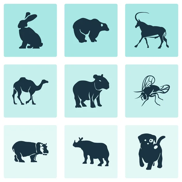 Conjunto de iconos del zoológico con camello, mosca, rinoceronte y otros elementos hipopótamos. Iconos de zoológico de ilustración aislada . — Foto de Stock