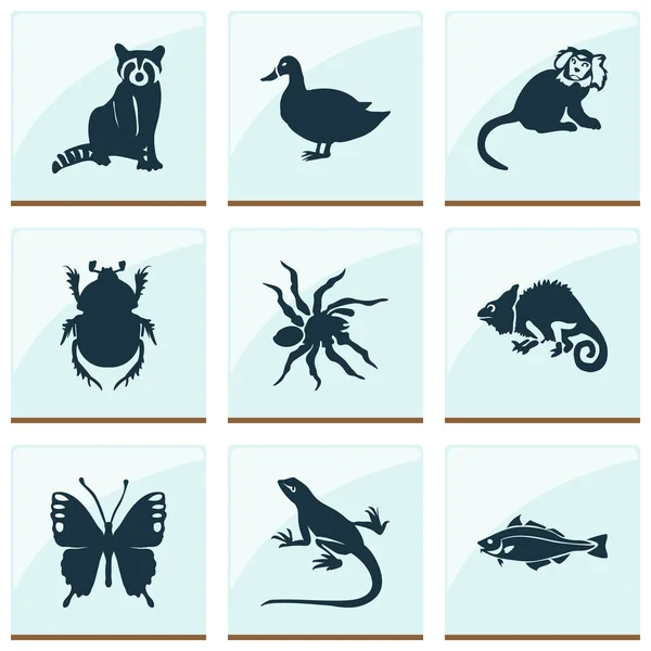 Ikony zoo z szopem, marmozetem, kaczką i innymi małpimi elementami. Izolowane ilustracje ikony zoo. — Zdjęcie stockowe