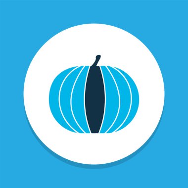 Kabak simgesi renkli sembol. Premium kalite izole kabak öğe trendy tarzı.