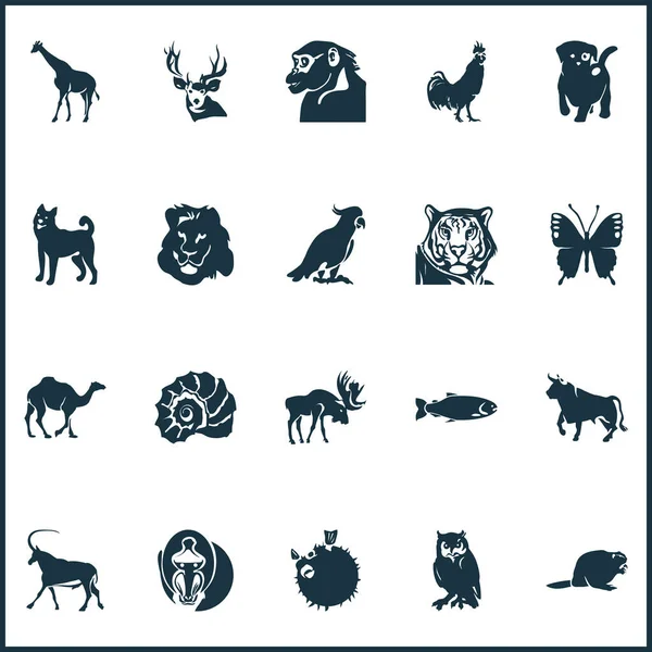 Zoosymbole mit Hahn, Eule, Biber und anderen Kammmuschelelementen. Isolierte Vektorillustration Zoo-Symbole. — Stockvektor