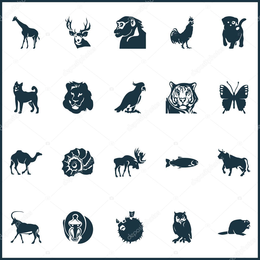 Zoo icons set with rooster, owl, beaver and other scallop elements. Isolated vector illustration zoo icons.