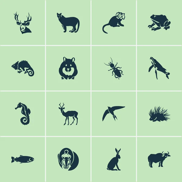 Icone di fauna con marmoset, salmone, puma e altri elementi di bufalo. Isolato vettoriale illustrazione fauna icone . — Vettoriale Stock