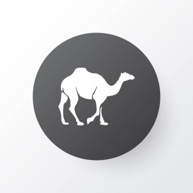 Deve simgesi simgesi. Premium kalite izole dromedary öğe trendy tarzı.