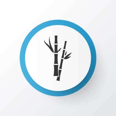 Bambu simgesi. Moda tarzında birinci kalite izole edilmiş dal ögesi.