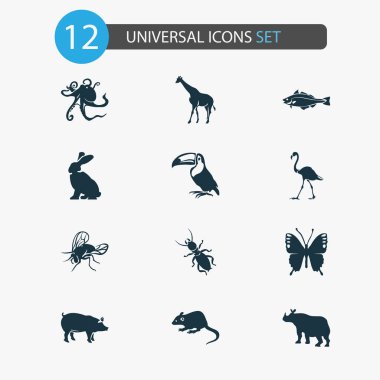 Domuz, fare, termit ve diğer gergedan elementleriyle hazırlanmış hayvan simgeleri. İzole edilmiş illüstrasyon hayvan simgeleri.