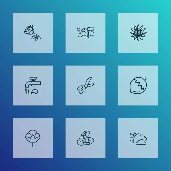 Nature pictogrammen lijn stijl set met rozenbloem, tuinieren schaar, hazelnoot en andere wolkenelementen. Geïsoleerde illustratie natuur iconen. — Stockfoto