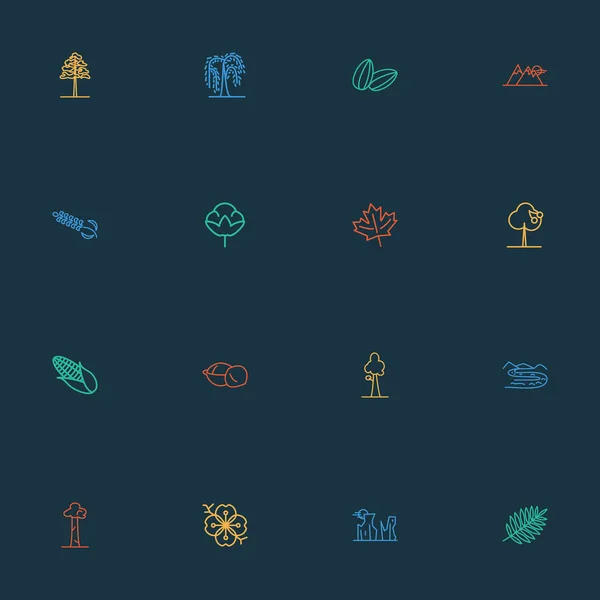 Landscape icons line style set with maple, sequoia, sakura flower and other maize elements. Isolated illustration landscape icons.