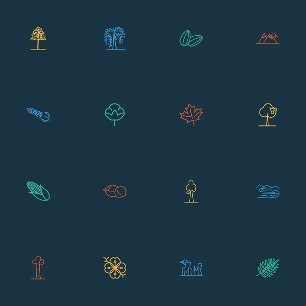 Naturaleza iconos línea estilo conjunto con arce, sequoia, flor de sakura y otros elementos de maíz. Iconos de naturaleza de ilustración vectorial aislada . — Archivo Imágenes Vectoriales