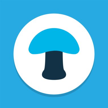 Mantar sembolü renkli. Moda tarzında birinci kalite izole şampiyon ögesi.