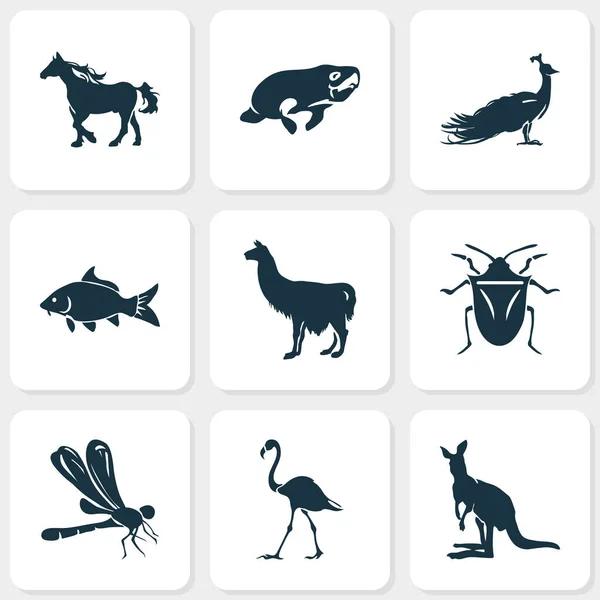 Fauna iconen bezet met lama, libel, paard en andere schelvis elementen. Geïsoleerde illustratie fauna iconen. — Stockfoto