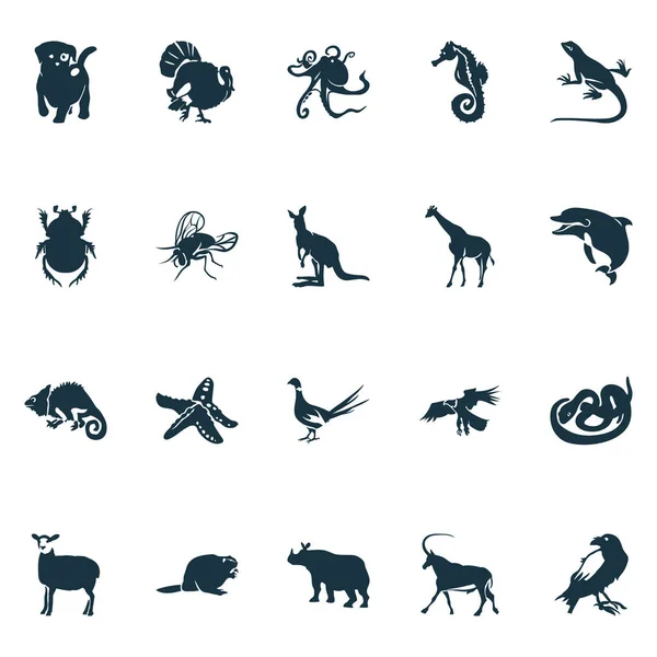 Icone animalier con castoro, aquila, camaleonte e altri elementi corvi. Isolato vettoriale illustrazione icone animali . — Vettoriale Stock