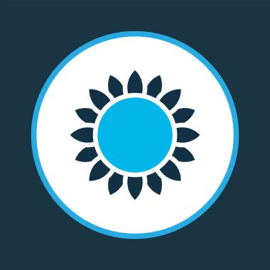 Ayçiçeği renkli simge. Moda tarzında birinci kalite izole çiçek ögesi.