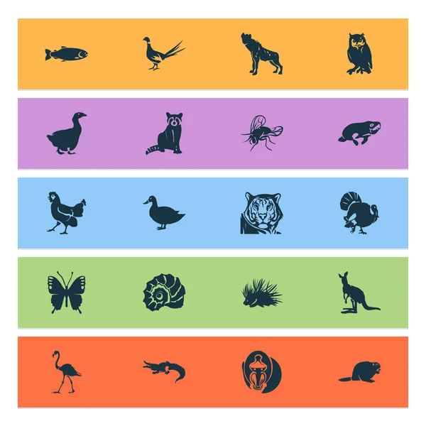 Animal Icons mit Biber, Waschbär, Truthahn und anderen Geflügelelementen. Isolierte Illustration tierischer Ikonen. — Stockfoto