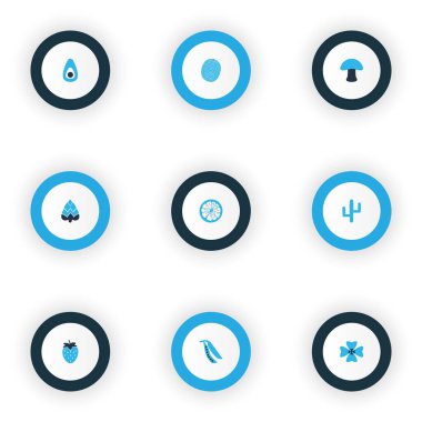 Yiyecek simgeleri bitki, limon, baklagil ve diğer enginar elementleriyle renklendirilmiş. İzole vektör illüstrasyon yiyecek simgeleri.