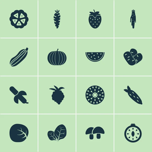 Obstsymbole mit Wurzelgemüse, tropischen Früchten, Zucchini und anderen Melonenelementen. Isolierte Vektorillustration Frucht-Symbole. — Stockvektor