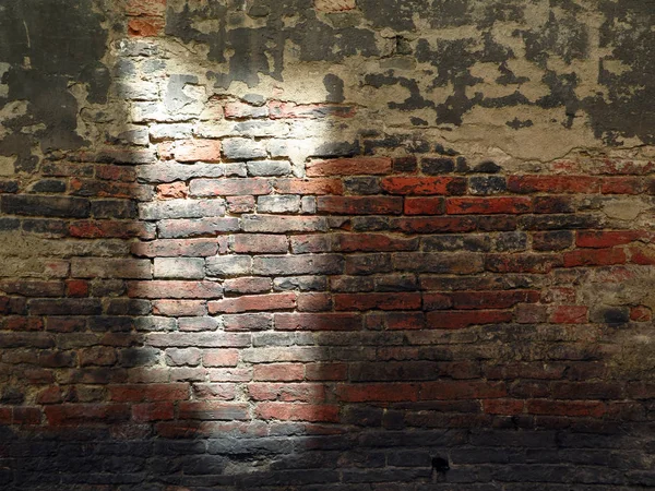Brick wall between shadow and light #1