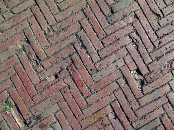 Bricks from Piazza del Campo