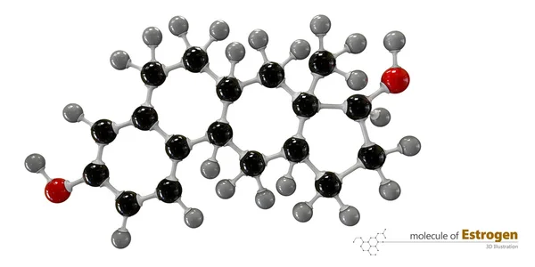 分離したエストロゲン分子白背景のイラスト — ストック写真