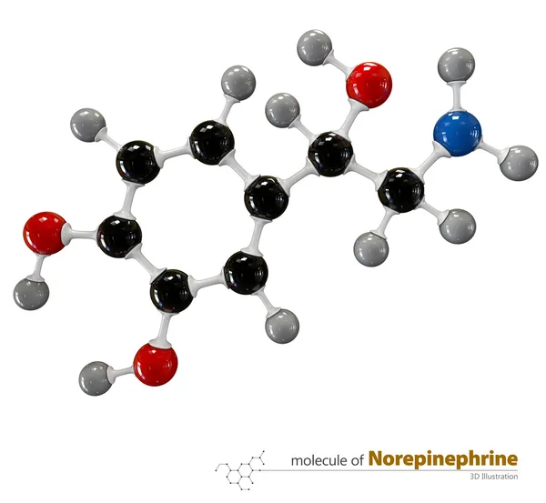 Illustration des Noradrenalin-Moleküls isolierter weißer Hintergrund — Stockfoto