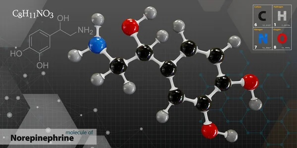 去甲肾上腺素分子分离灰色背景的插图 — 图库照片