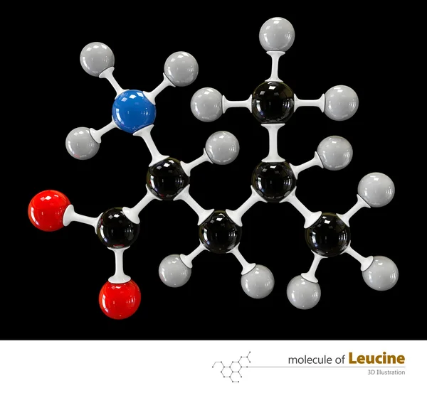 Illustration des Leuzinmoleküls isoliert schwarzen Hintergrund — Stockfoto