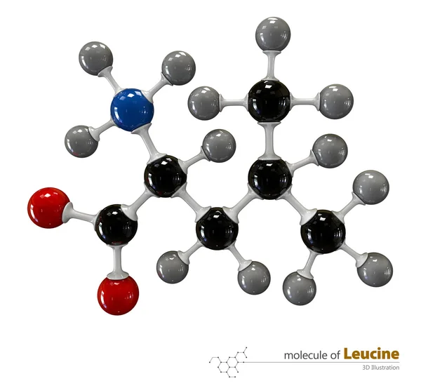 Illustration av leucin molekyl isolerade vit bakgrund — Stockfoto