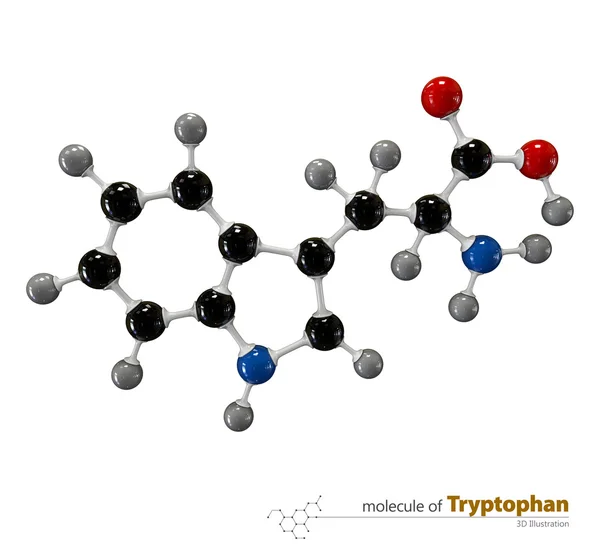Ilustrație de triptofan Molecule izolate fundal alb — Fotografie, imagine de stoc