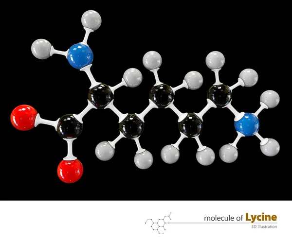Illustration des Lycinmoleküls isoliert schwarzen Hintergrund — Stockfoto