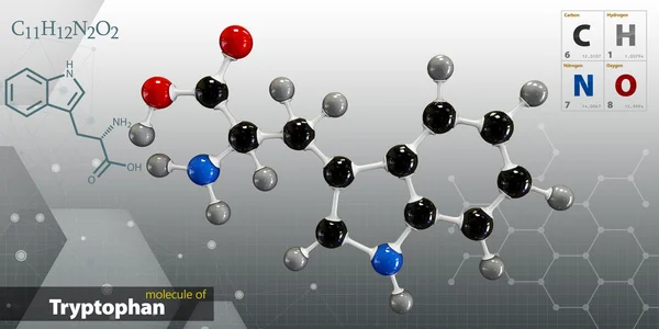Ilustração de Tryptophan Molecule fundo cinza isolado — Fotografia de Stock