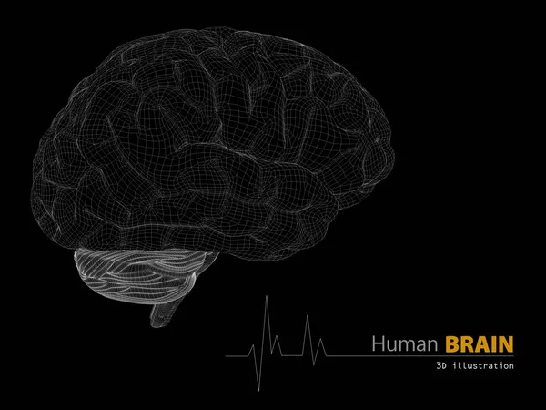 Illustration du cerveau humain sur fond noir — Photo