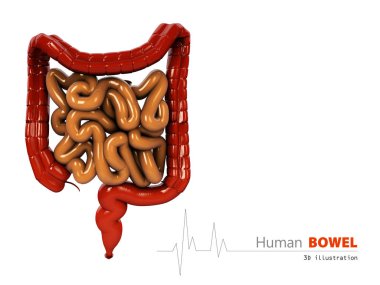 3d Illustration of Bowels abstract scientific background clipart