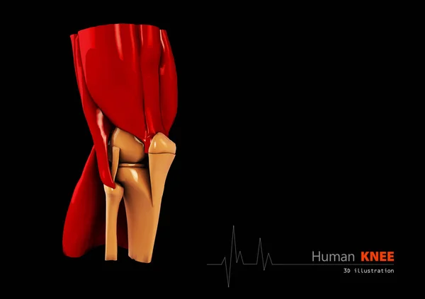 3D obrázek lidské koleno abstraktní vědecké zázemí — Stock fotografie