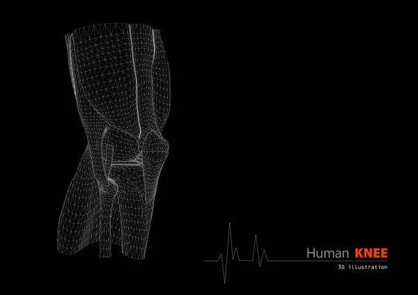 3d Ilustración de la rodilla humana base científica abstracta — Foto de Stock