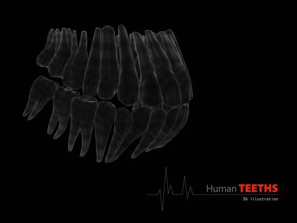 Ilustração dos Dentes, medicina e conceito de saúde elemento de design . — Fotografia de Stock