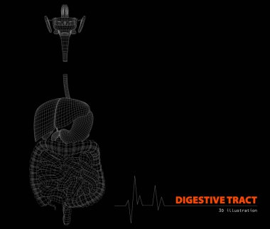 illüstrasyon insan izole sindirim siyah