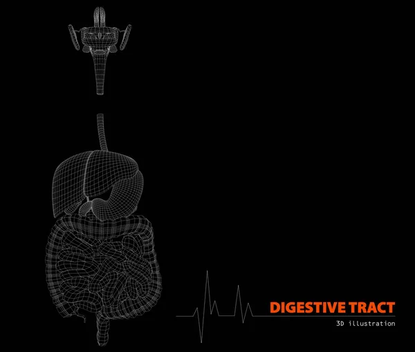 Ilustración del tracto digestivo humano aislado negro — Foto de Stock