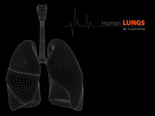 Ilustración 3D de Pulmones - Parte de Orgánica Humana . — Foto de Stock