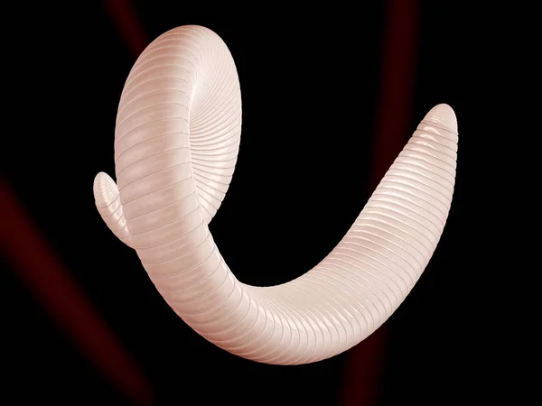3D-Illustration des parasitären Wurms und der Lebensmittelvergiftung. — Stockfoto